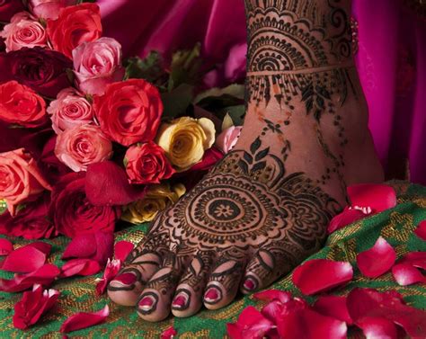 henta.in|The henna plant: Transcending time, religion and culture